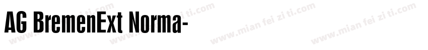 AG BremenExt Norma字体转换